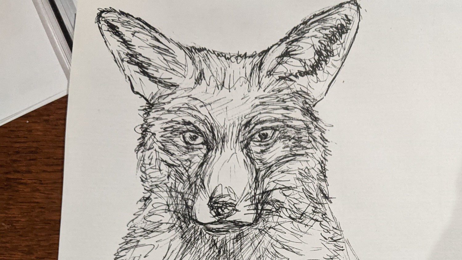 Renard - dessin plume