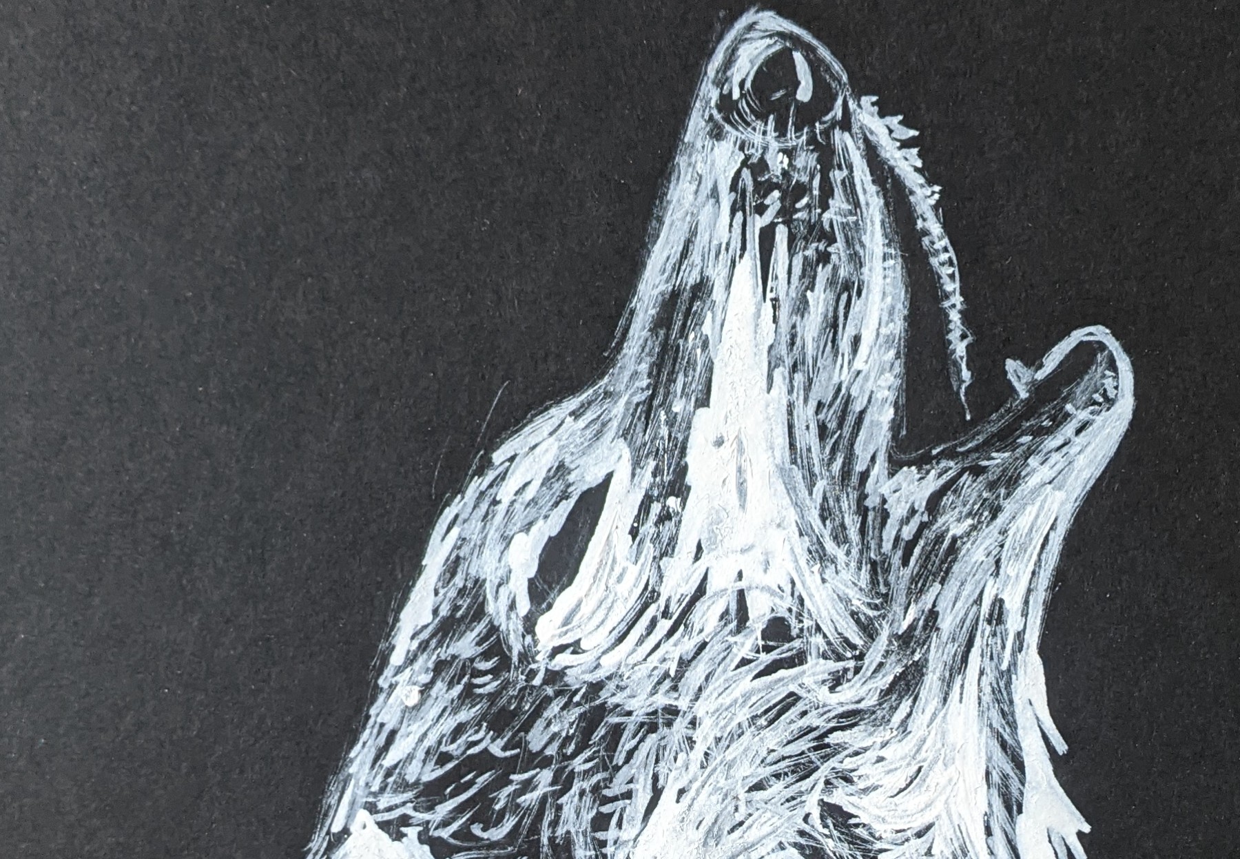 loup hurlant - gros plan