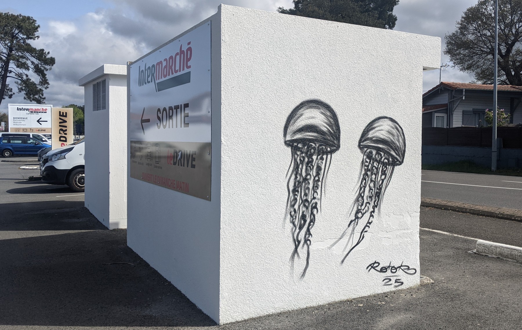 graffiti méduses noir et blanc
