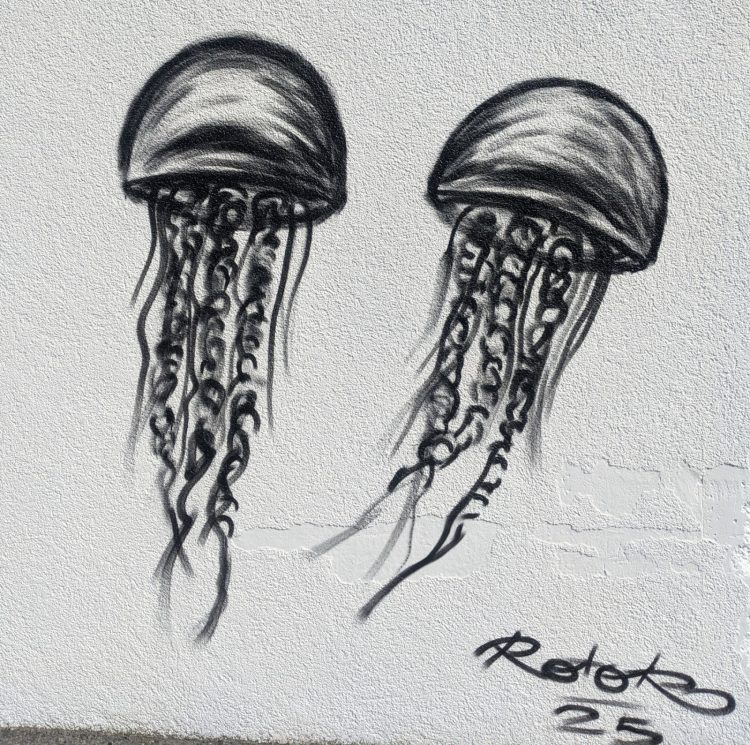 Méduses inter capbreton - graffiti noir et blanc