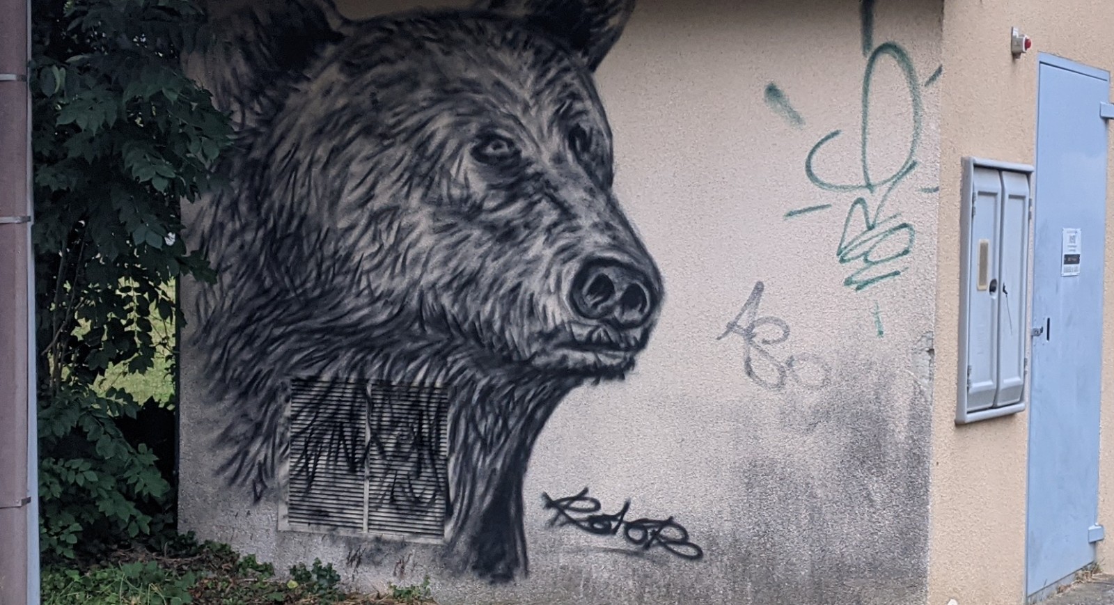 ours - aste béon 2025
