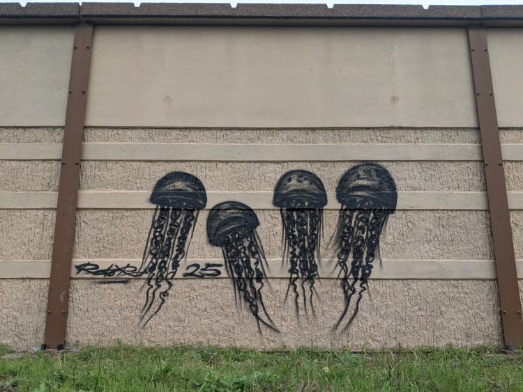 Méduses A64 Capbreton — graffiti, noir et blanc, Bénesse-Maremne