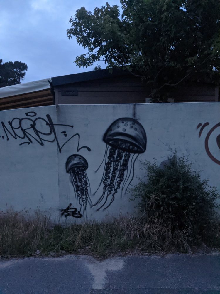 Graffiti méduses au camping de la pointe, Capbreton