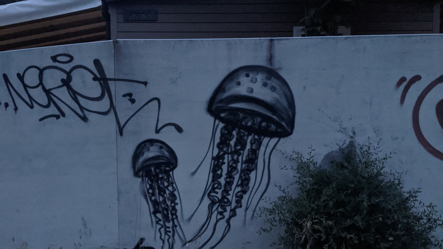 Méduses — graffiti, vue d'ensemble, Capbreton
