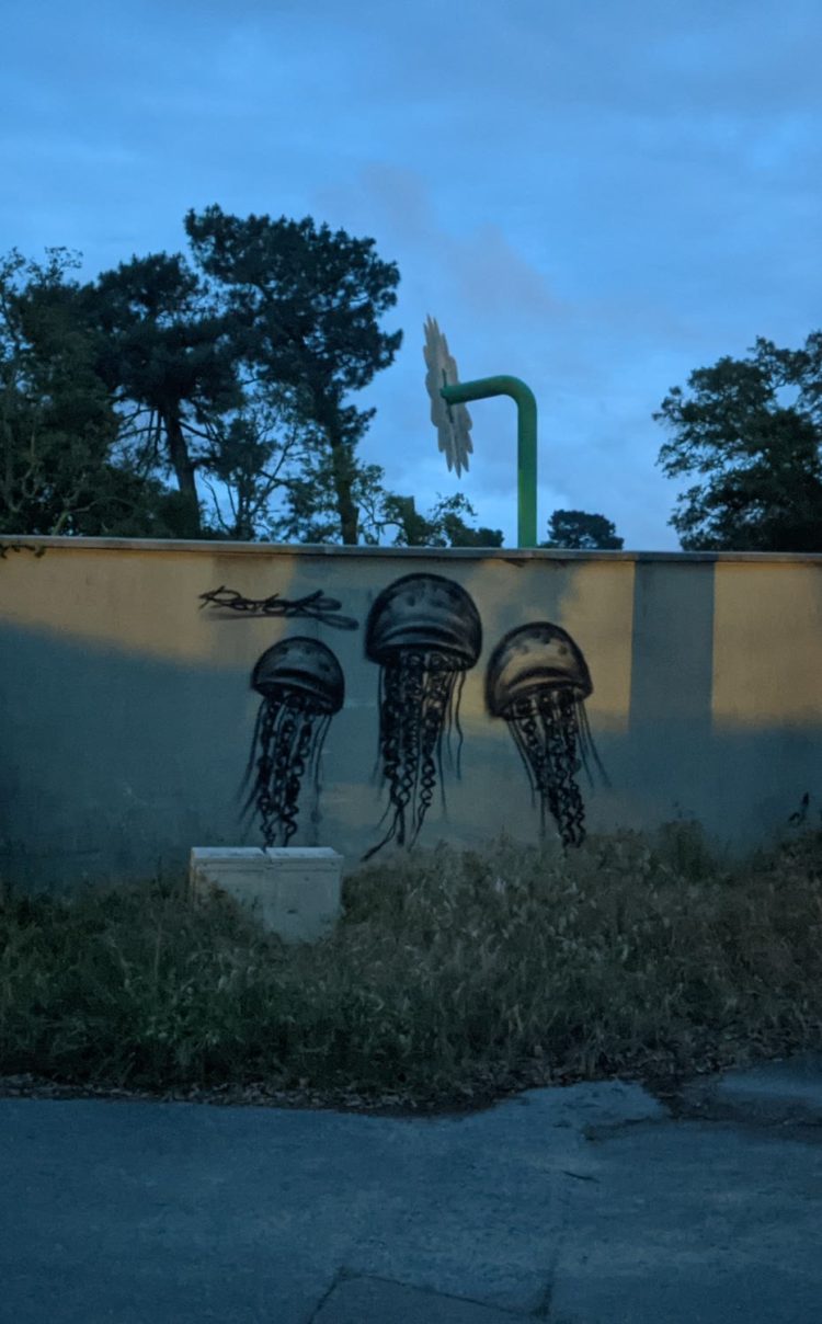 Méduses — graffiti, Capbreton