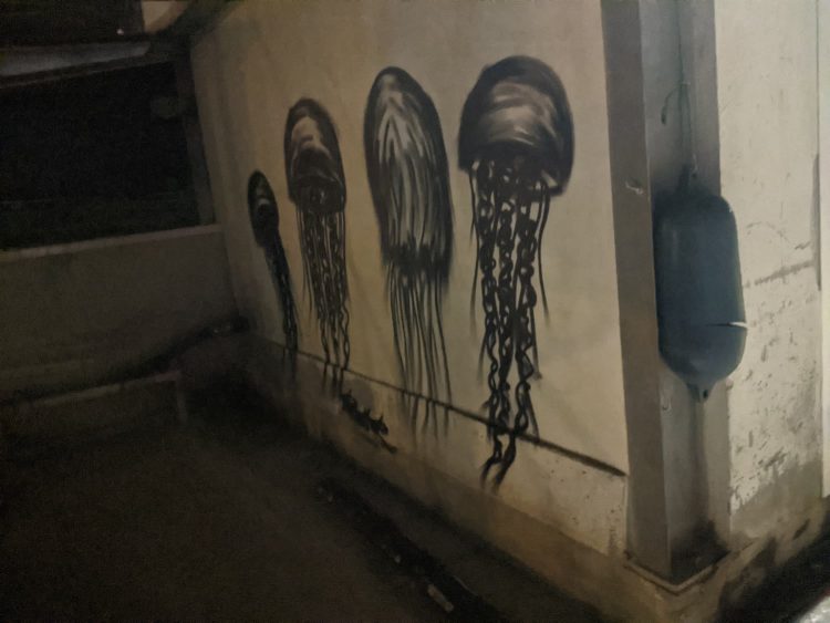Méduses — graffiti, Capbreton