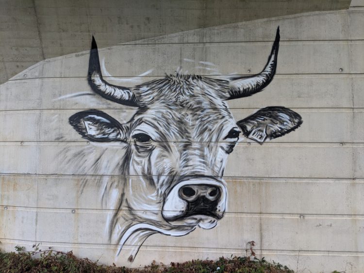 Vache aubrac — graffiti, Espalion