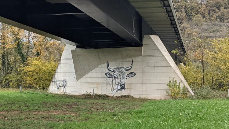 Vache aubrac — graffiti, vue d'ensemble, Espalion