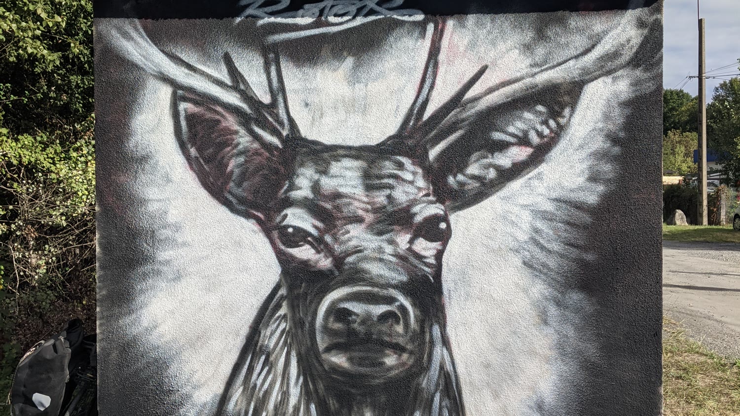Cerf — graffiti mural, noir et blanc, vue d'ensemble, Agos-Vidalos